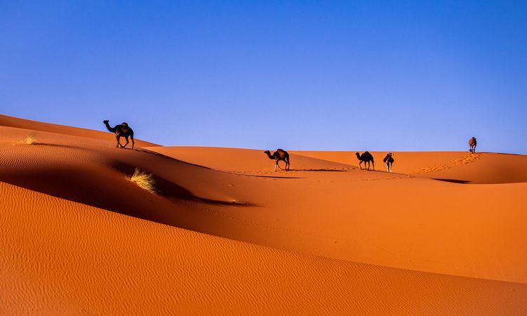 2 day From Marrakech to Merzouga.